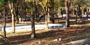 Enez Orman Parkındaki tesisler kiralanacak