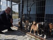 Keşan Belediye Başkanı Mustafa Helvacıoğlu, “4 Nisan Dünya Sokak Hayvanları Günü” açıklaması..