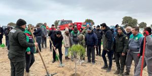 Sultaniçe’de fidan dikimi gerçekleştirildi