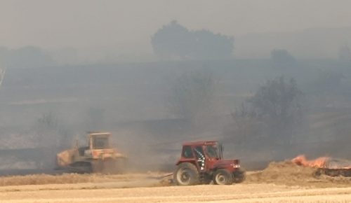 Keşan’da çıkan yangında 40 Hektar orman alanı yandı