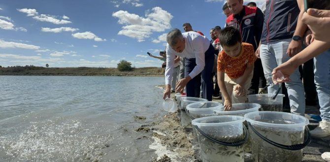 İpsala’da bu yıl 10 milyon 500 bin adet yavru  sazan balığı üretildi