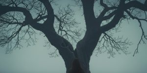 Trakya’nın Topraklarından Dünyaya: Kuzey Kayahan Saran Sinemaya “Günahsız” ile Başlıyor