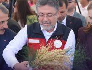 Bakan Yunaklı İpsala’da… Üretici çeltik alım fiyatını bekledi…