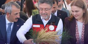 Bakan Yunaklı İpsala’da… Üretici çeltik alım fiyatını bekledi…