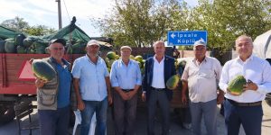 KAVUNDA VERİMDE YOK, FİYATTA YOK!