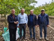 Trakya’da cevizin en çok üretildiği yer…İpsala’nın Karaağaç köyü