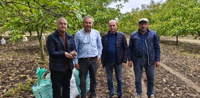 Trakya’da cevizin en çok üretildiği yer…İpsala’nın Karaağaç köyü