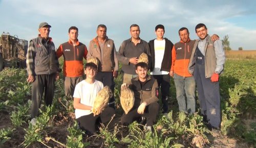 Şeker Pancarının tarladan sofraya yolculuğu başladı