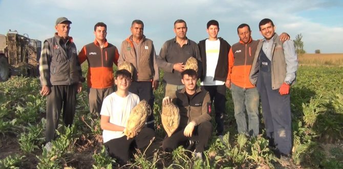 Şeker Pancarının tarladan sofraya yolculuğu başladı