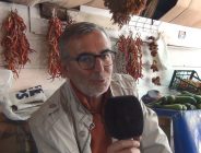 Tohum kaplama ile yanan orman arazilerine çözüm