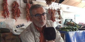 Tohum kaplama ile yanan orman arazilerine çözüm