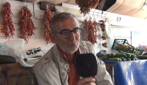 Tohum kaplama ile yanan orman arazilerine çözüm