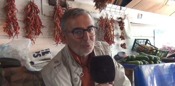 Tohum kaplama ile yanan orman arazilerine çözüm