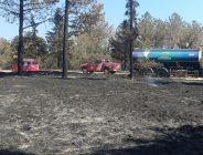 Enez’de yanan ormanların ağaçlandırılması