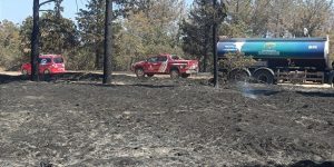 Enez’de yanan ormanların ağaçlandırılması