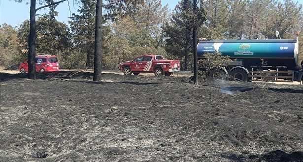 Enez’de yanan ormanların ağaçlandırılması