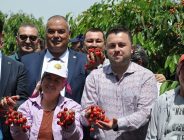 Çeribaşı Kirazı Coğrafi İşaret Tescili Aldı