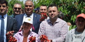 Çeribaşı Kirazı Coğrafi İşaret Tescili Aldı