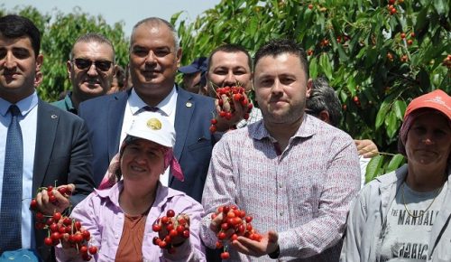 Çeribaşı Kirazı Coğrafi İşaret Tescili Aldı