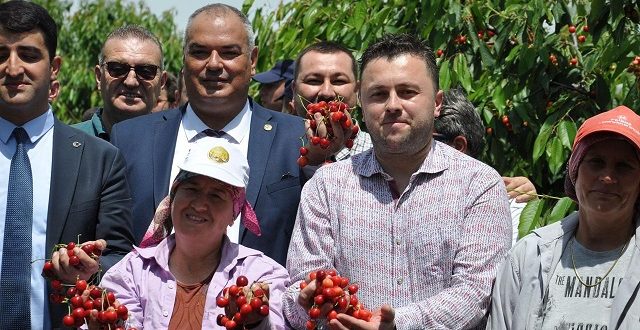 Çeribaşı Kirazı Coğrafi İşaret Tescili Aldı