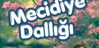 Geleneksel Mecidiye dallığı 9 Mayıs’ta…
