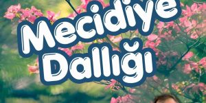 Geleneksel Mecidiye dallığı 9 Mayıs’ta…