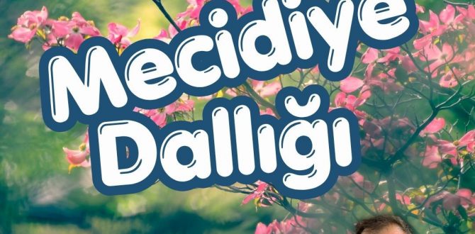 Geleneksel Mecidiye dallığı 9 Mayıs’ta…