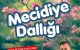 Geleneksel Mecidiye dallığı 9 Mayıs’ta…