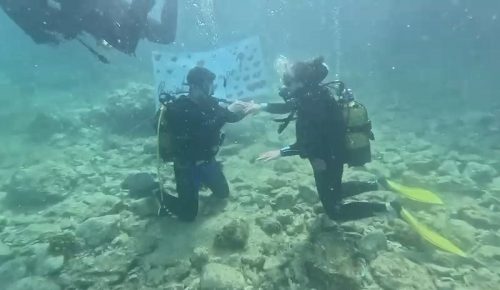 Saros Körfezi’nde su altında evlilik teklifi…
