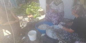 KADIN GİRİŞİMCİLERDEN İPEK BÖCEKÇİLİĞİNDE ÖRNEK BAŞARI