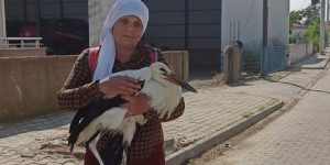 Yaralı leyleğe sahip çıktı